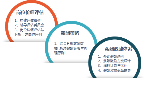 某多(duō)元化(huà)公司薪酬績效改革案例