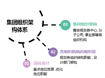 組織診斷、人(rén)力體(tǐ)系、流程案例